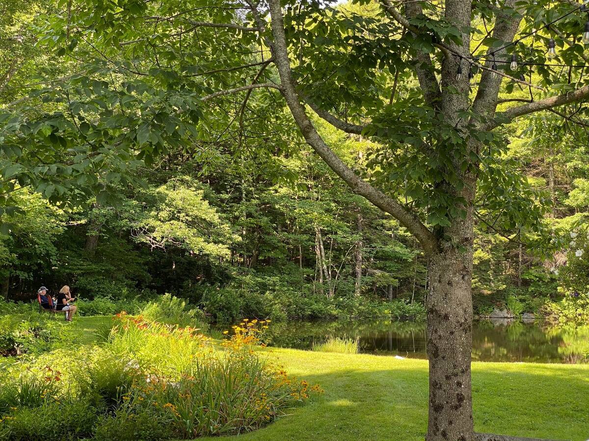 The lawn and pond in summer